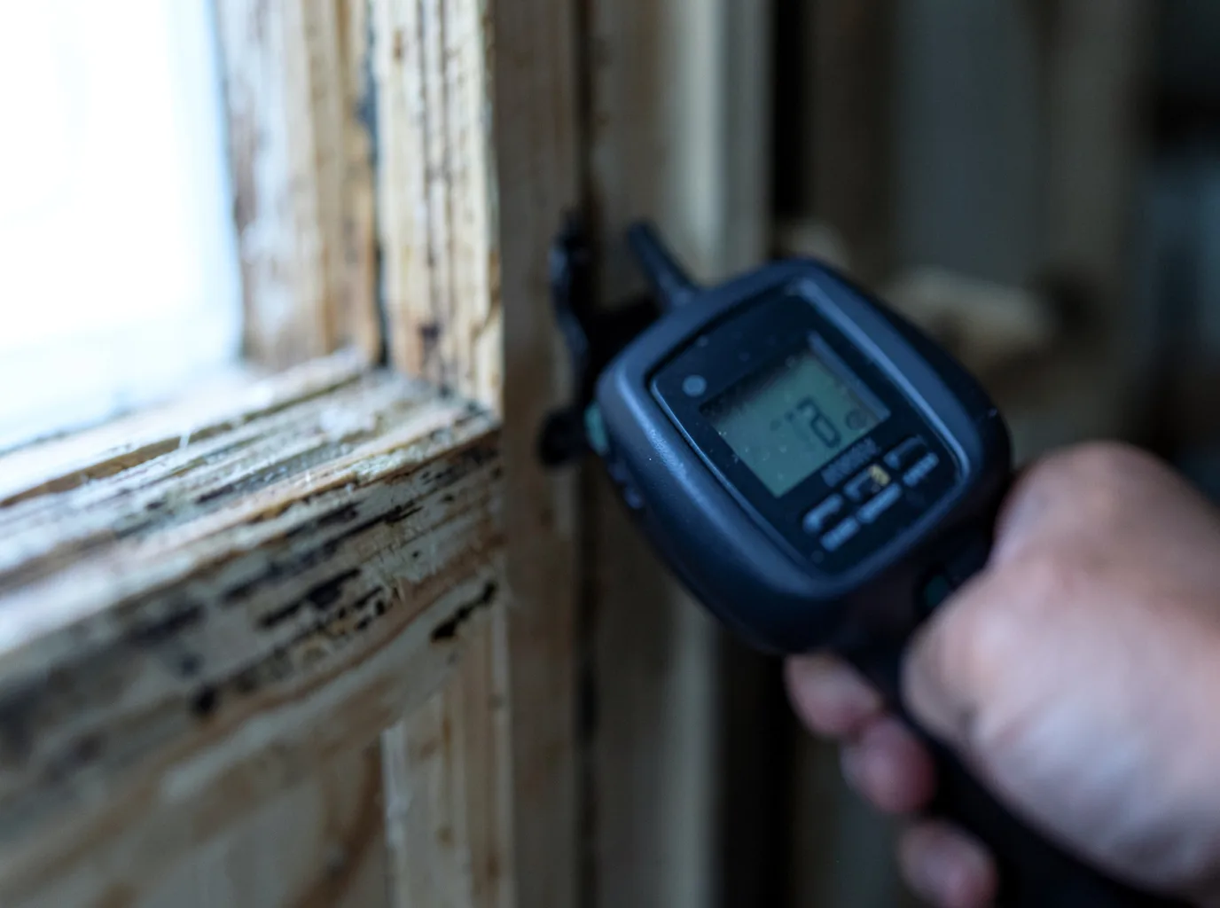 Moisture Inspection And Documentation in Delia, KS